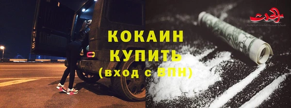 гидра Богородск