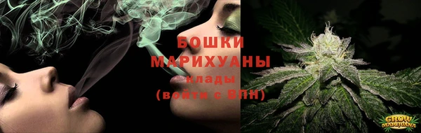 гидра Богородск