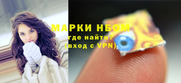 гидра Богородск