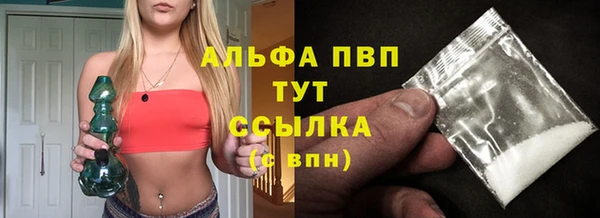 ешки Богданович