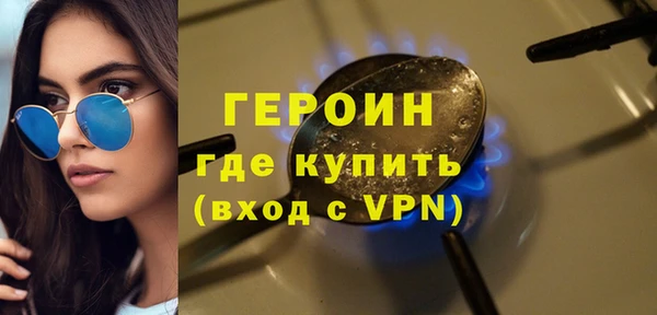 гидра Богородск