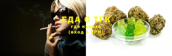 гидра Богородск