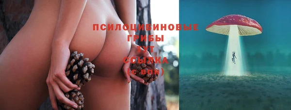 эйфоретик Богородицк