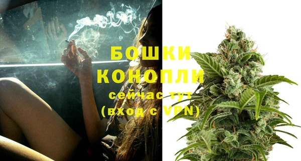 ешки Богданович