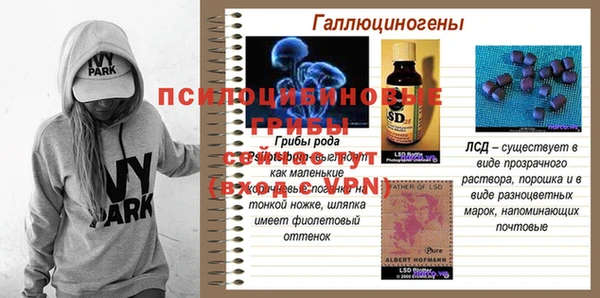 ешки Богданович