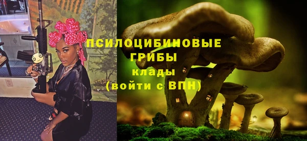 ешки Богданович