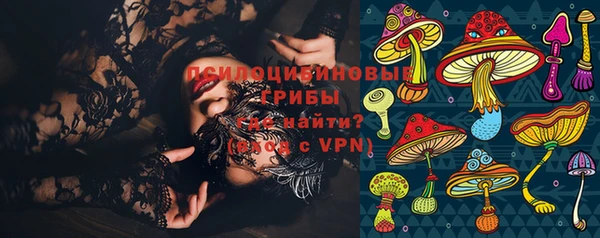 гидра Богородск
