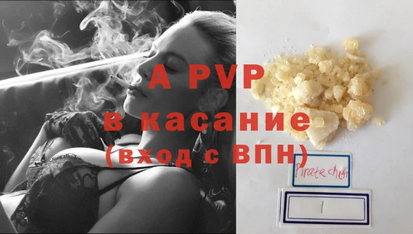 ешки Богданович