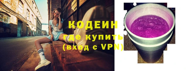 гидра Богородск