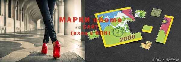 гидра Богородск